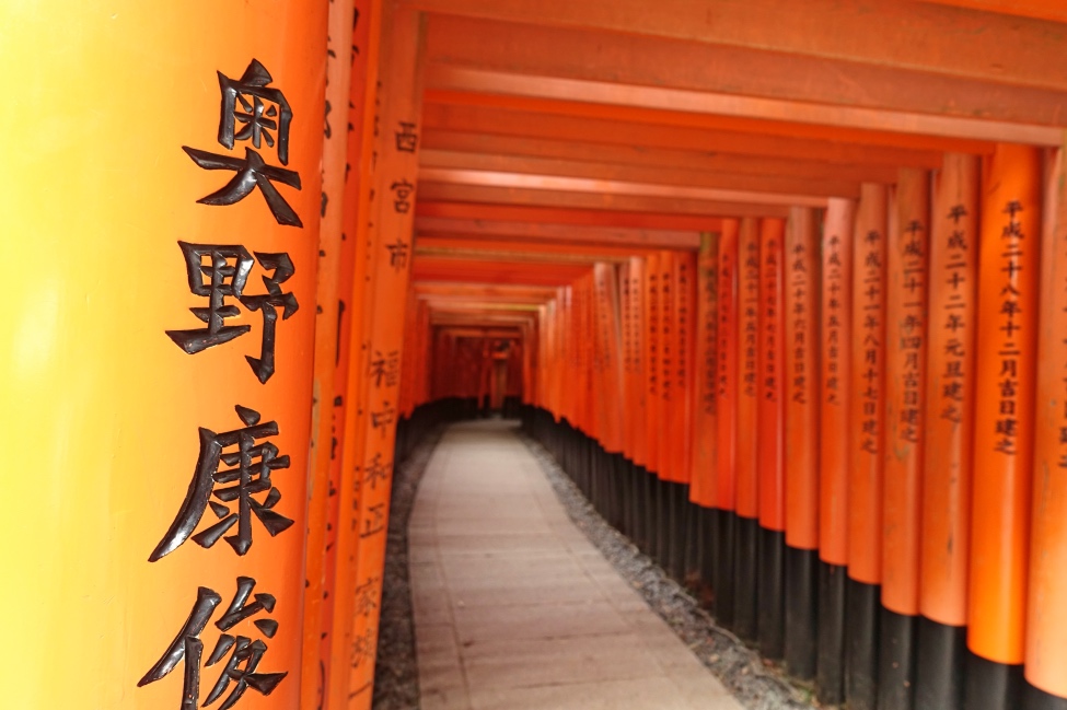 Sushi Inari Shrine - TravelledMatt - 10000 Torii Gates 1