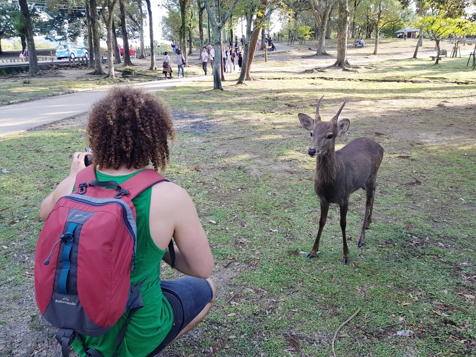 TravelledMatt - Nara Park